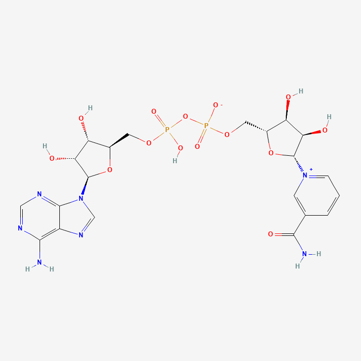 NAD+ molecular structure